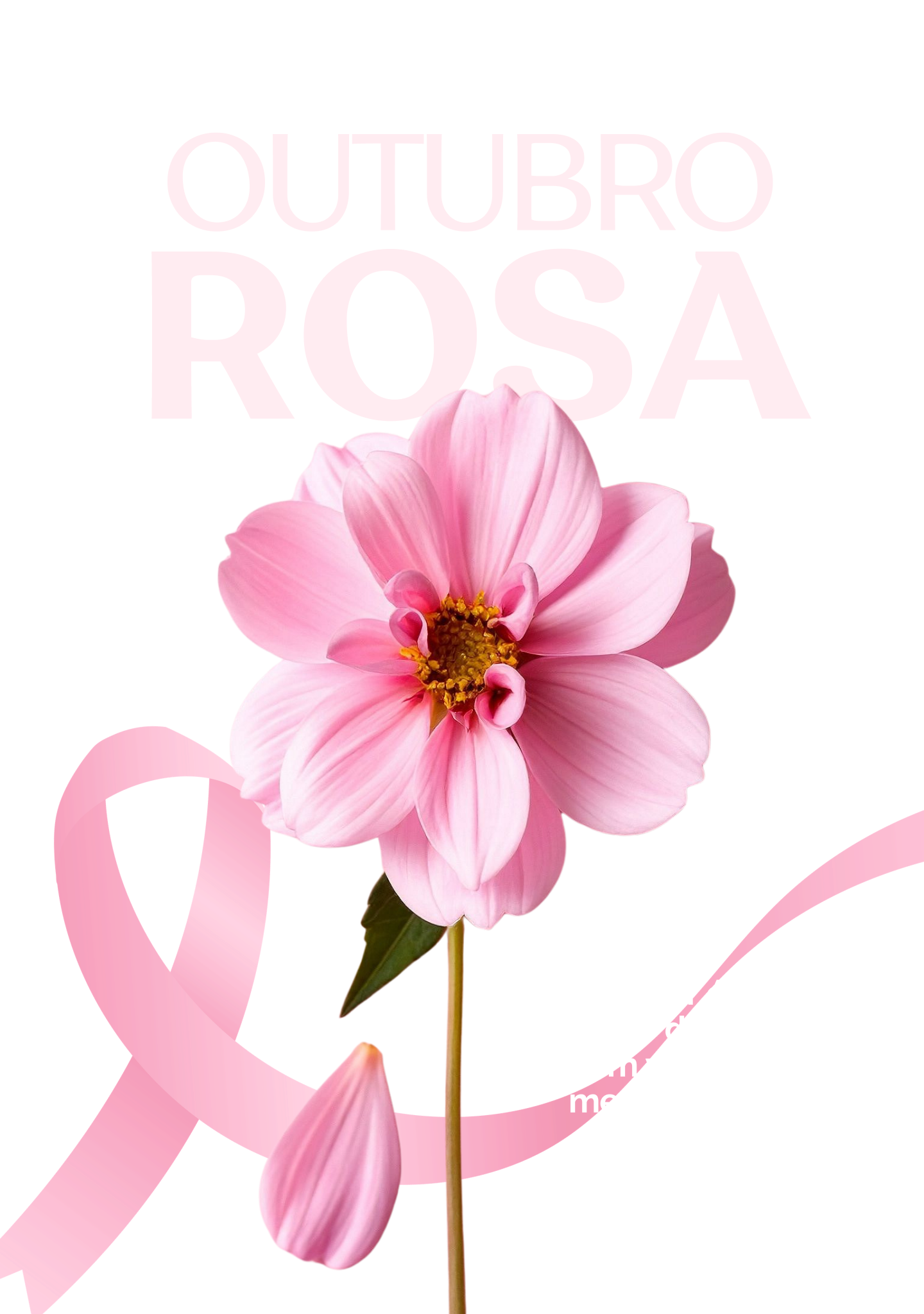 Campanha Outubro Rosa